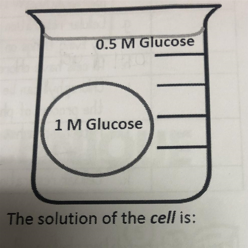 0.5 M Glucose 1 M Glucose The solution of the cell is:-example-1