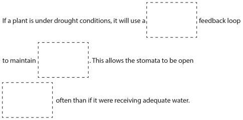 Hurrryyy please 100 points!!!!!!!!!!!!!!!!!!!!!!!!! options are: more, homeostasis-example-1