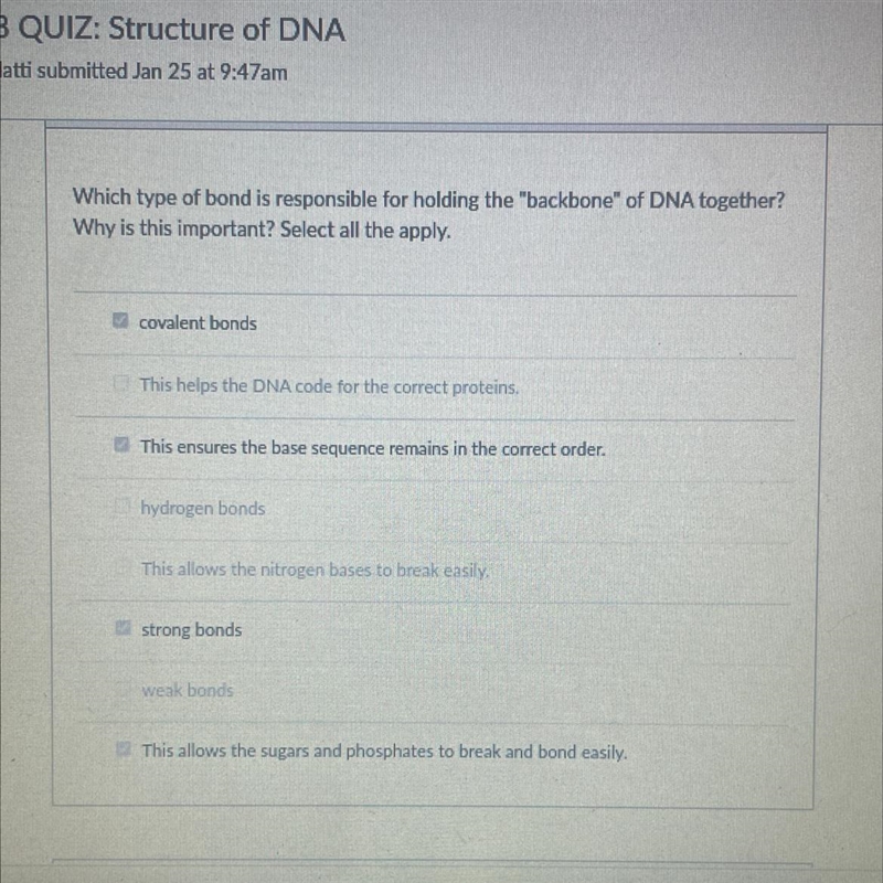 Which type of bond is responsible for holding the "backbone" of DNA together-example-1