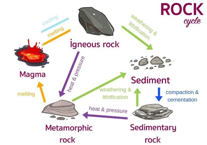 Question 7 (1 point) Which of the following is true about the rock cycle? a Magma-example-1