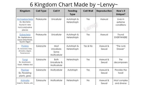 I need 6 Kingdom chart or like define each kingdom-example-1