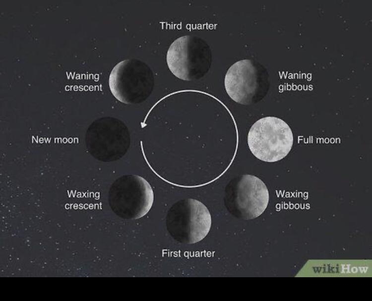 Label the phases of the moon that are listed below. Write the letter next to the word-example-1