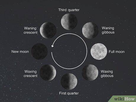 Label the phases of the moon that are listed below. Write the letter next to the word-example-1