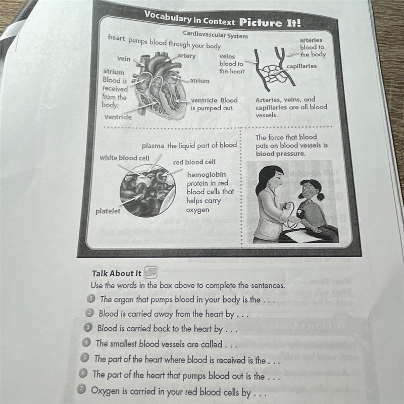 Giving 24 points Complete all of the sentences!!! science-example-1