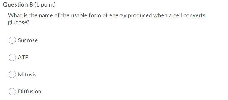 What is the cell cycle? Question 6 options: The time a cell spends actively dividing-example-2