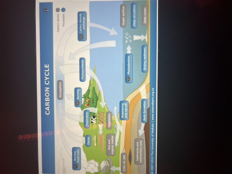 The above diagram illustrates how nature recycles what natural resources?-example-1