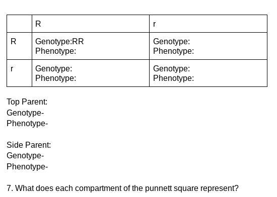 Complete the Punnett Square-example-1