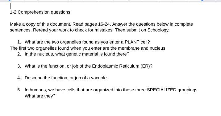 help please!!! In the nucleus, what genetic material is found there? What is the function-example-1