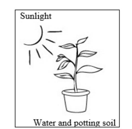 A student wants to find out if a particular kind of plant grows better with or without-example-1