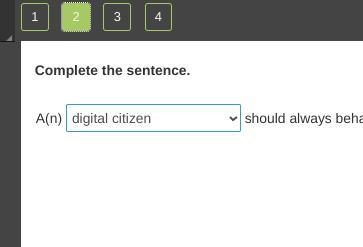 Complete the sentence. A(n) ____ should always behave responsibly and appropriately-example-1