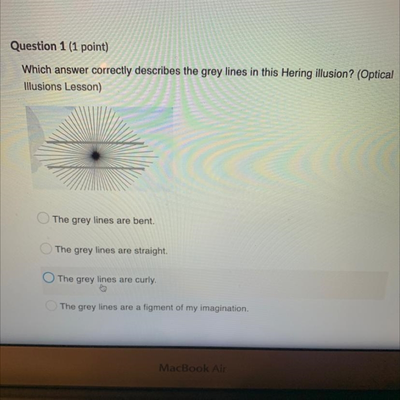 Question 1 (1 point) Which answer correctly describes the grey lines in this Hering-example-1