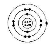 9.Consider the possible bonding of the atom shown below. The atom would probably...Select-example-1