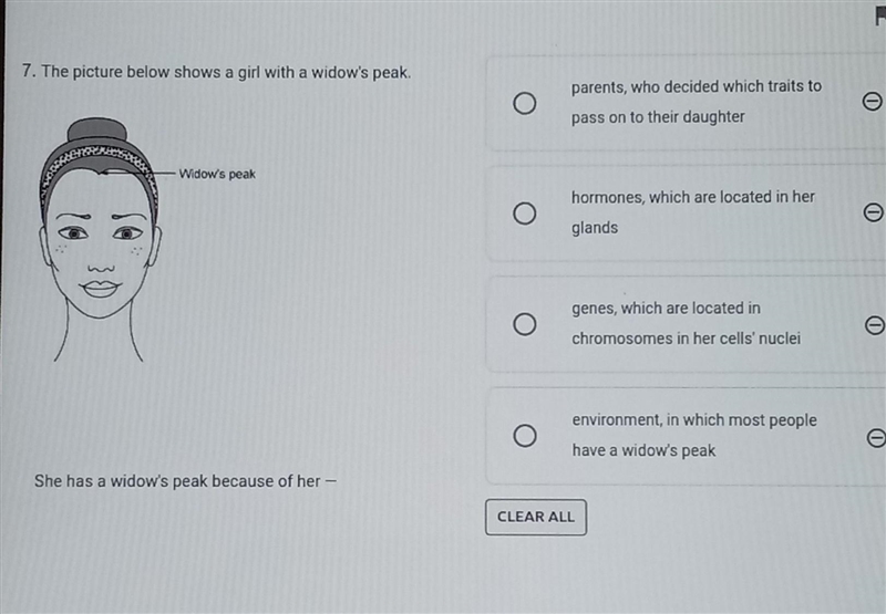 7. The picture below shows a girl with a widow's peak. Widow's peak She has a widow-example-1