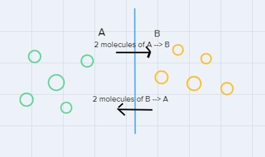 Can you explain dynamic equilibrium and show a graph with it please thank you-example-1