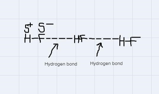 Explain how the strongest type of intermolecular force in liquid HF arises (Not just-example-1