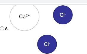 Which of the following images correctly shows calcium chloride when it is dissolved-example-1