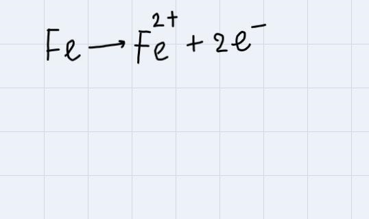 Which equation shows conservation of charge?(1) Fe → Fe²⁺ + e¯(2) Fe → Fe²⁺ + 2e¯(3) Fe-example-1