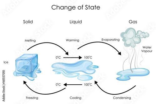 How do water molecules change as their state of matter changes from solid, to liquid-example-1