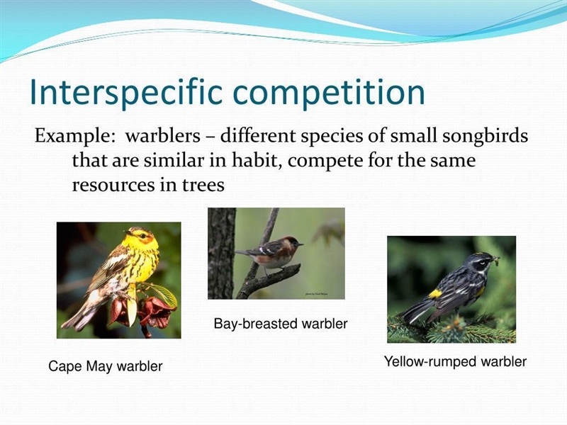 Please help!!! 25 points!!! This image illustrates how different species of warblers-example-1