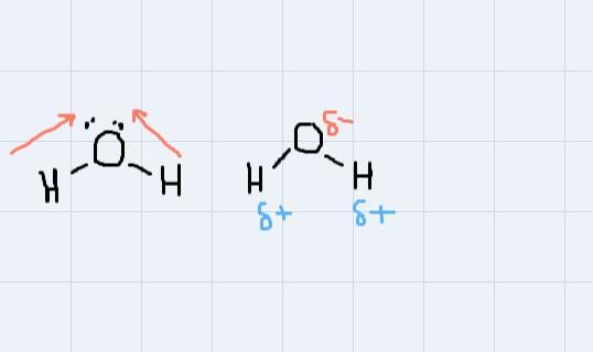 Now, provide the following information about your chosen molecule (H2O): Intermolecular-example-1