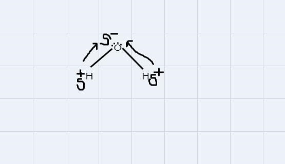 ) How does water’s polarity contribute to the formation of hydrogen bonds?-example-1