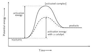 Which part of a potential energy diagram represents the activation energy and which-example-1