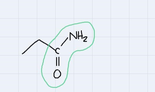 Name the functional group in thefollowing molecule:NH2A. aldehydeB. amineC. amideD-example-1