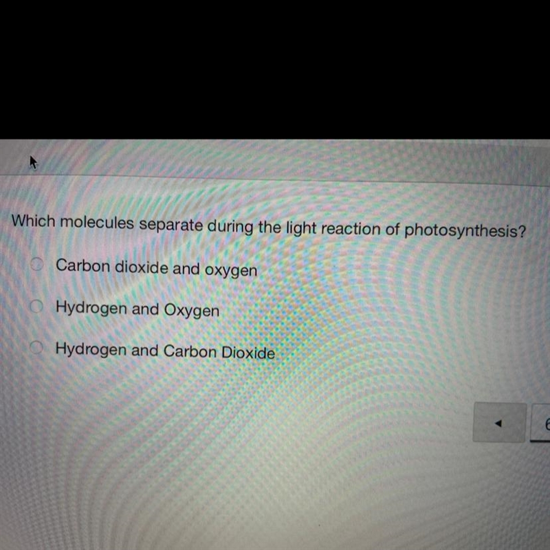 Which molecules separate during the light reaction of photosynthesis?Carbon dioxide-example-1