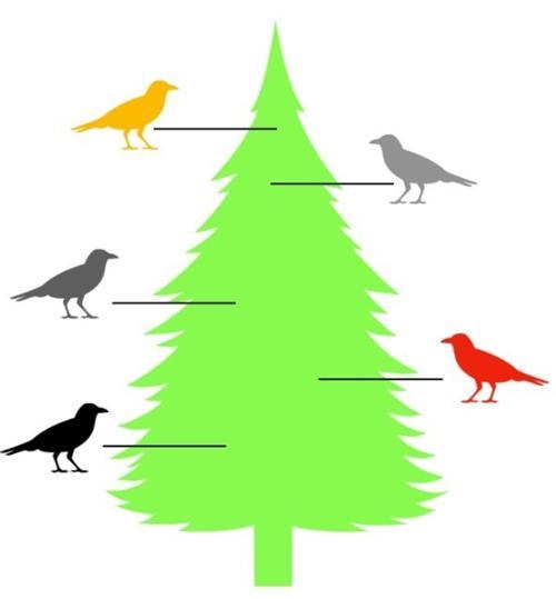 Please help!!! 25 points!!! This image illustrates how different species of warblers-example-1