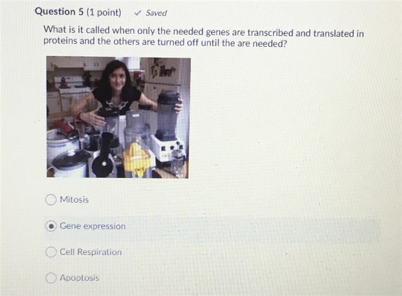 What is it called when only the needed genes are transcribed and translated in proteins-example-1