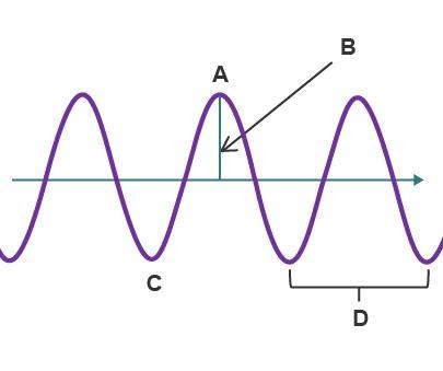 Label the parts of this wave. A: B: C: D:-example-1