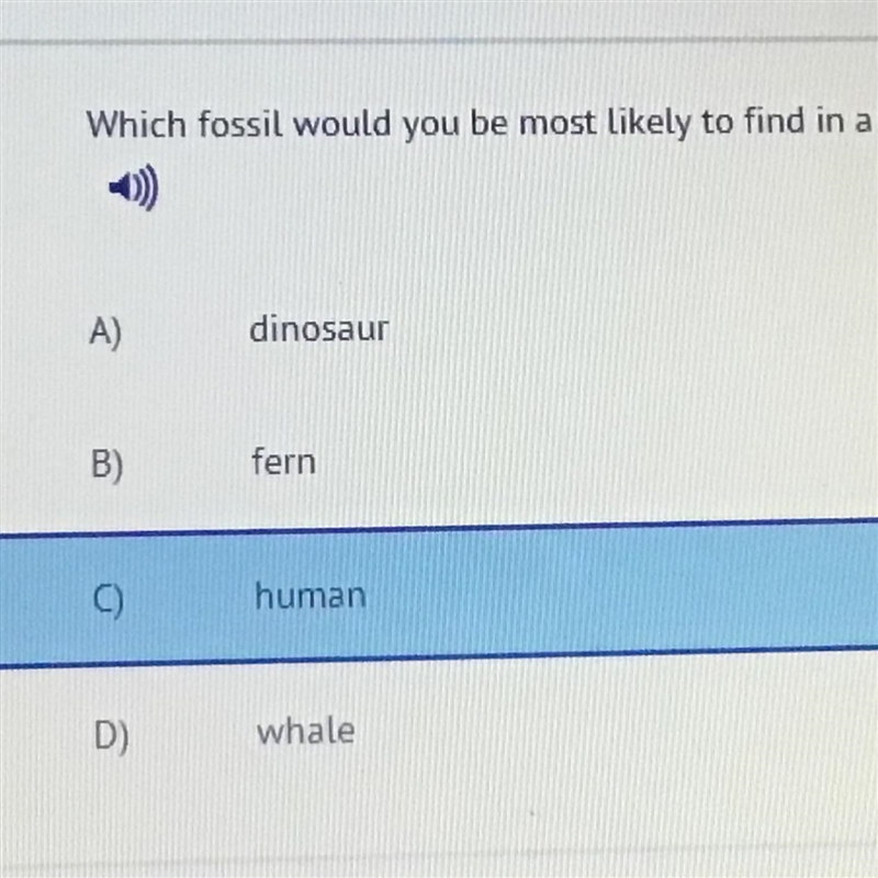 3) Which fossil would you be most likely to find in a coal mine? A) dinosaur B) fem-example-1