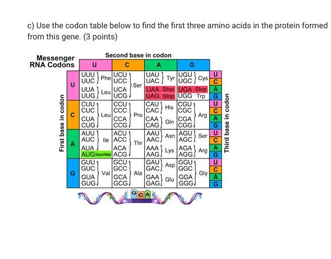 Can anyone help me with this :( Does this mutation affect the protein produced? Explain-example-1