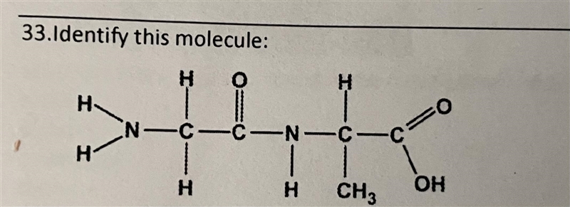 Identify this molecule: a) alcohol b) hydrocarbon c) carbohydrate d) lipid e) amino-example-1