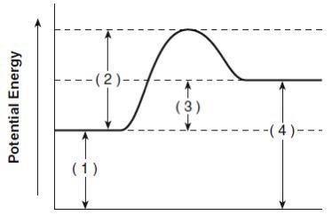 Does the reaction represented by this energy diagram release or absorb heat and why-example-1