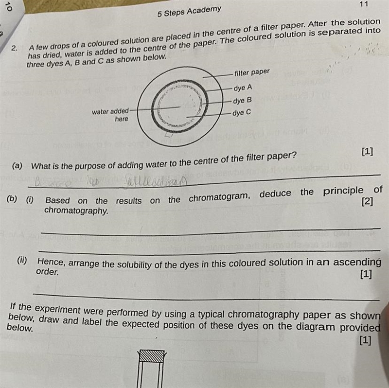 Help please!!!!!!!!!!!-example-1