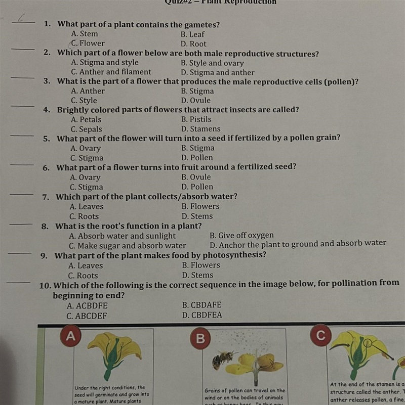 What part of a plant contains the gametes? A. Stem B. Leaf C. Flower D. Root 2. Which-example-1