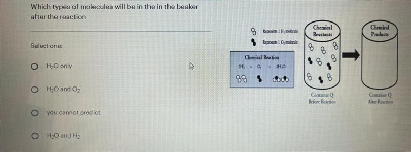 Which types of molecules will be in the in the beaker after the reaction? select one-example-1