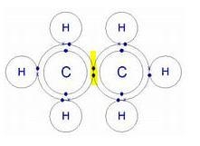 A single bond contains_____ Shared electrons. A.1 B.2-example-1