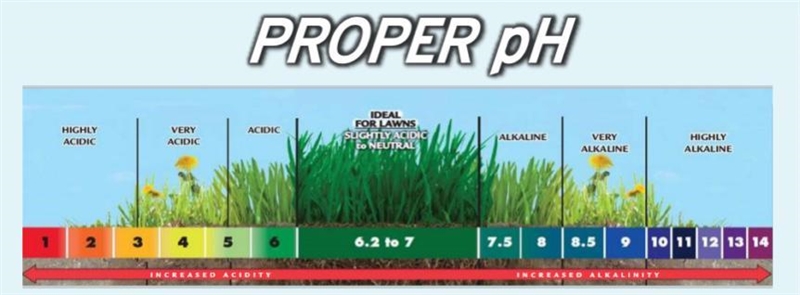 What is the ph of the soil in your backyard?​-example-1