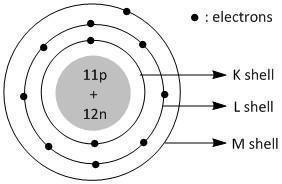 Draw an atomic structure of Sodium (Na). What are sub-atomic particles?​-example-1