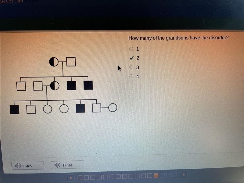 How many of the grandsons have the disorder? 1 2 3 4-example-1