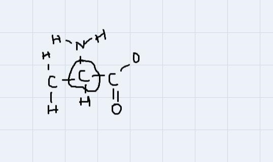 Identify the appropriate chiral atoms by circling each atom until all atoms are mapped-example-2