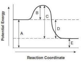 18. Does the diagram below represent an exothermic reaction, or an endothermic reaction-example-1