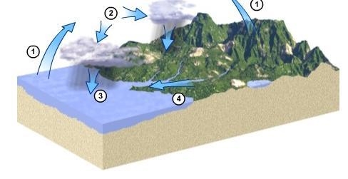 Which number in the hydrologic cycle diagram represents precipitation? 1 2 3 4 Illustration-example-1