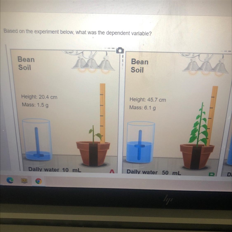 Hurrrryyyyy pls Based on the experiment below, what was the dependent variable? Bean-example-1