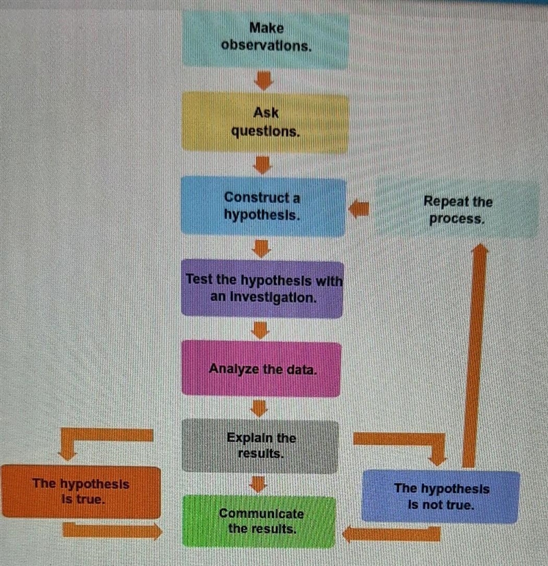 Select the correct answer. What type of scientific model does the flow chart represent-example-1