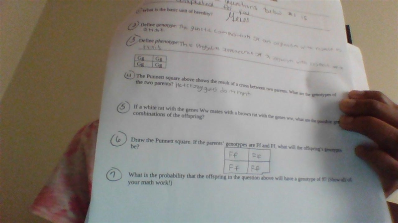 I need help with number 5 and 7-example-1