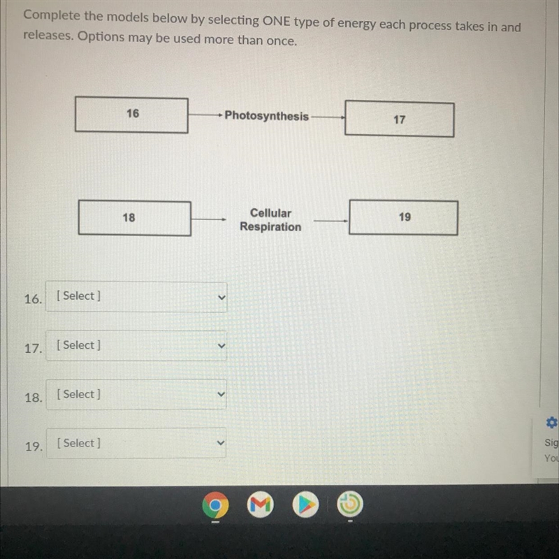 Solar energy, heat, atp, glucose-example-1