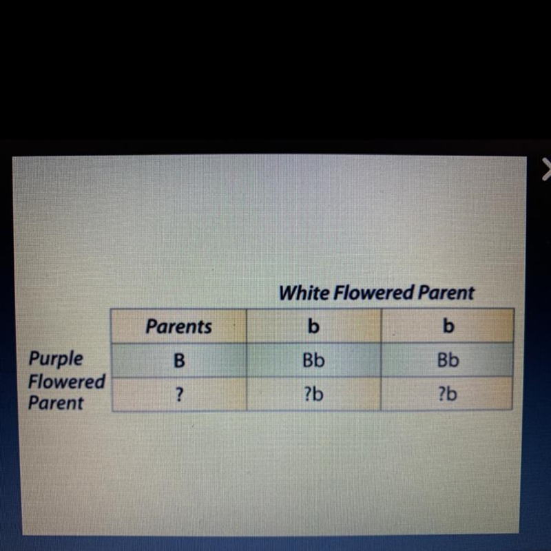 can you tell what the genotype of the purple flowered parent is from the information-example-1